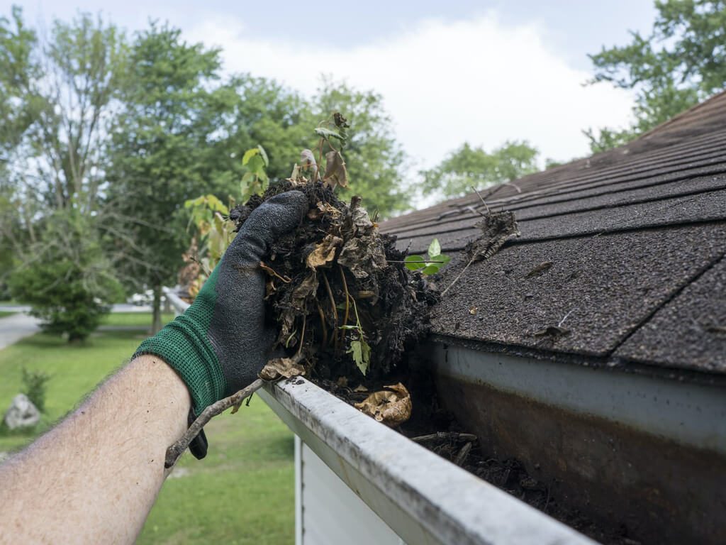 Gutter Cleaning